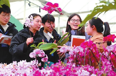 村里来了博士服务站 村里来了博士服务站